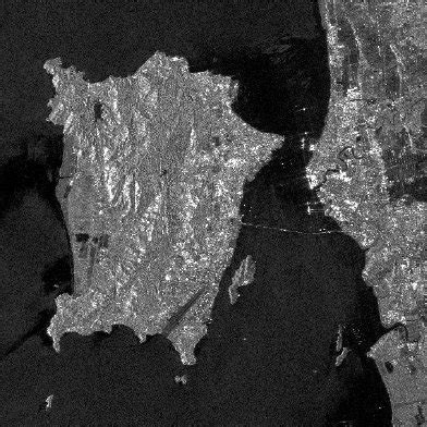 ALOS-PALSAR raw satellite image | Download Scientific Diagram