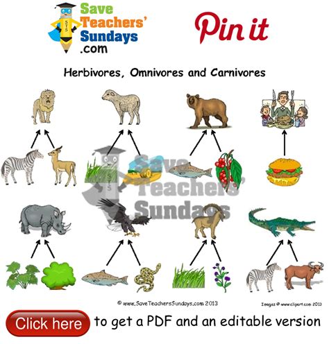 Herbivores Carnivores Omnivores Animals Name List