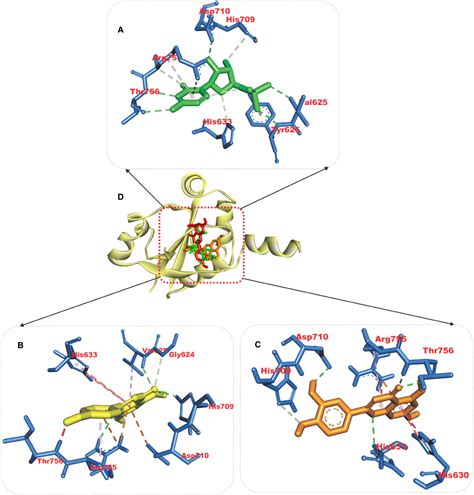 Evaluation Of Antimalarial Activity Of Ethanolic Extract Of Annona