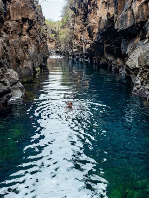 Galápagos on a budget: Santa Cruz Island & Puerto Ayora travel guide