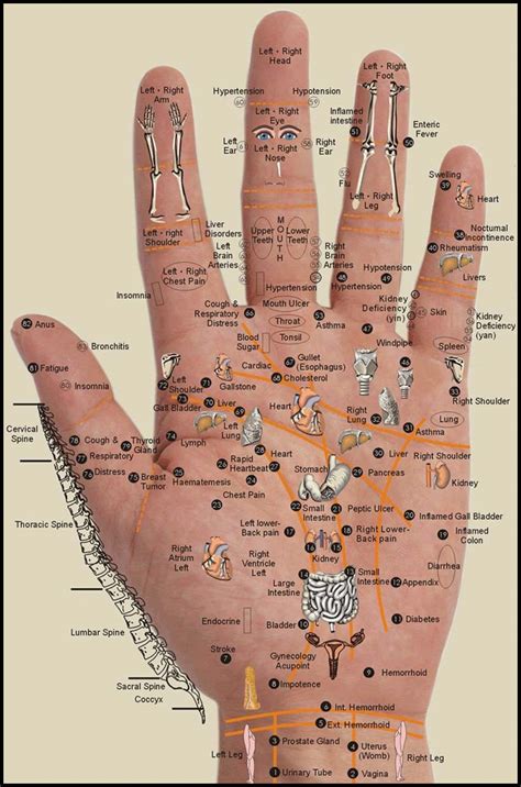 Printable Hand Reflexology Chart