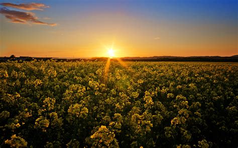 Foto Lichtstrahl Sonne Natur Himmel Felder Sonnenaufgänge 1920x1200