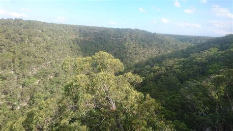 Dharawal National Park Firetrail No 10d Appin Nsw 2560 Australia