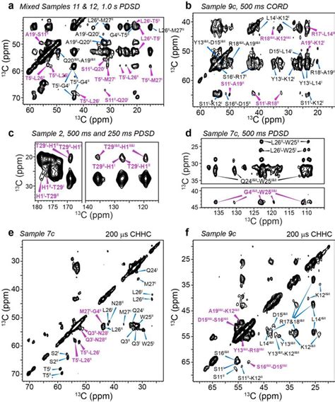 2d ¹³c ¹³c Correlation Spectra Indicate Intermolecular Packing Of The