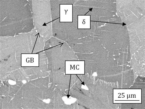 1 BSE Micrograph Of Inconel 718 Alloy Under Unannealed Conditions