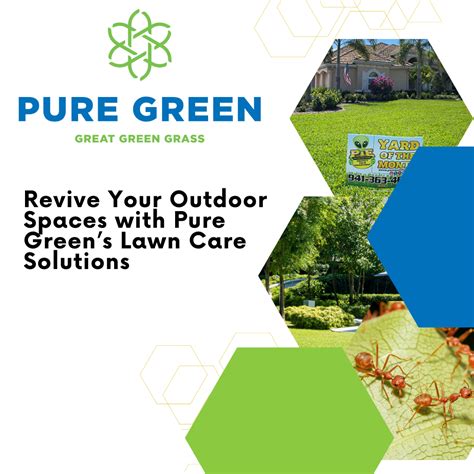 Outdoor Space Revive It With Pure Greens Lawn Care