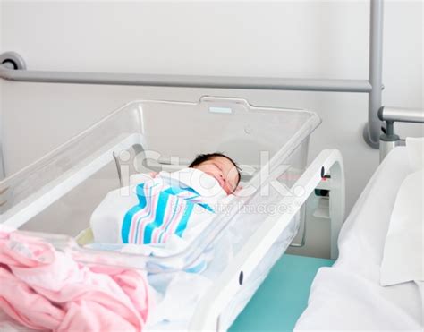 Newborn In Hospital Cot Stock Photo Royalty Free Freeimages