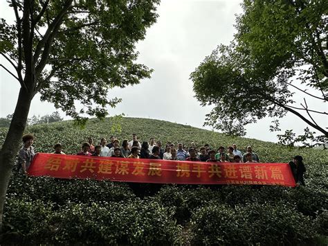 我院综合二支部开展“结对共建谋发展，携手共进谱新篇”主题党建日活动江苏省林业科学研究院省林科院江苏林科院