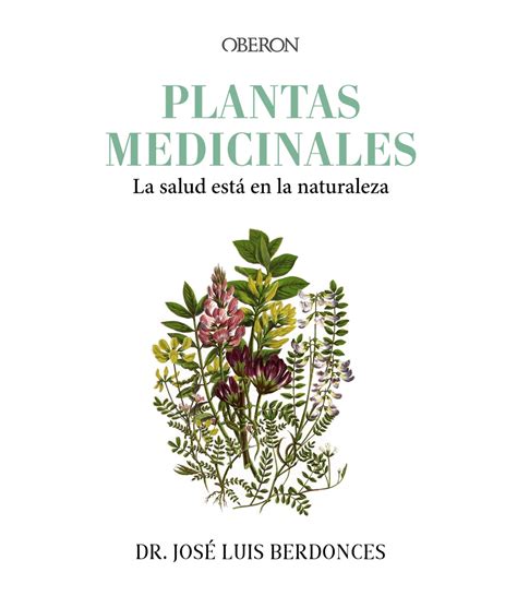 Plantas Medicinales La Salud Está En La Naturaleza