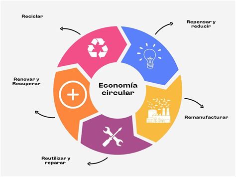 La Econom A Circular Explicada En Gr Ficos Y V Deos