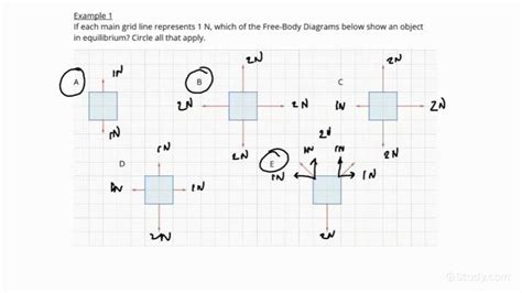 Identifying Free-Body Diagrams for Systems in Equilibrium | Physics ...