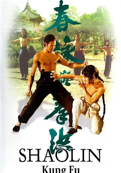 Shaolin Kung Fu Streaming Where To Watch Online