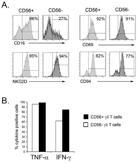 Phenotype Of γδ T Cell Subsets Download Scientific Diagram