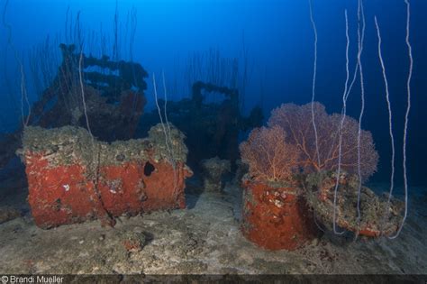 Diving The Nuclear Fleet At Bikini Atoll With Master Liveaboards