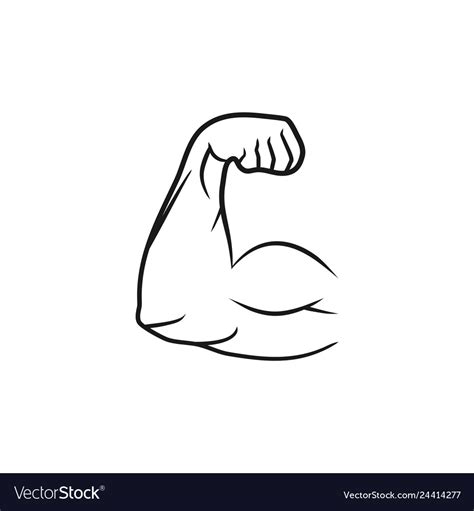 Biceps Muscle Arm Line Style And Flat Design Vector Image