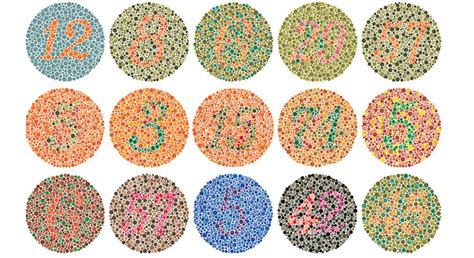 Understanding Different Types of Color Blindness