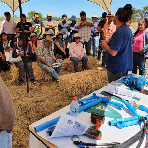 Tradicional Día de Campo reúne a más de 100 agricultores en INIA