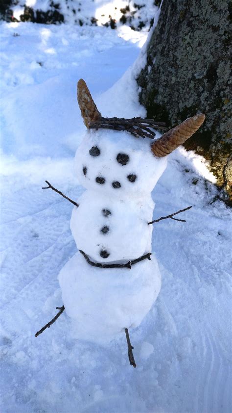 262 Best Snow Elf Images On Pholder Selfie True Stl And Selfreliance