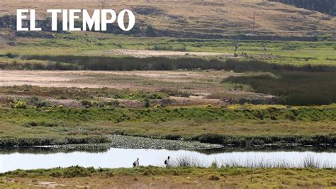 Conozca La Obra M S Importante Para Descontaminar El R O Bogot El