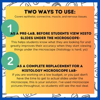 Digital Histology Labs For Anat Phys A Better Way To Teach Tissues