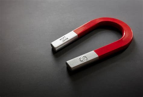 interesting information facts  magnet  children