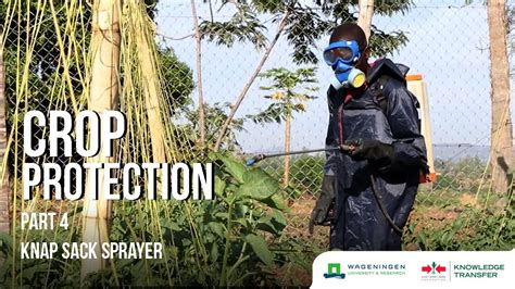 Crop Protection Part How To Correctly Use A Knapsack Sprayer For