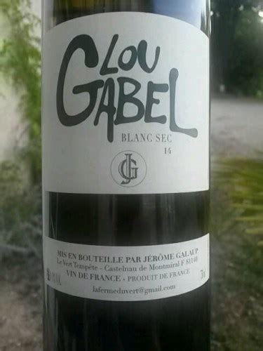 Ferme du Vert Jérôme Galaup Lou Gabel Blanc Sec Vivino US