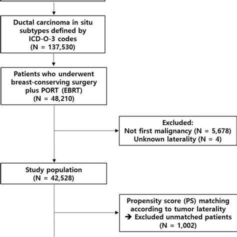 Flowchart Of Patient Selection Port Postoperative Radiotherapy Ebrt Download Scientific