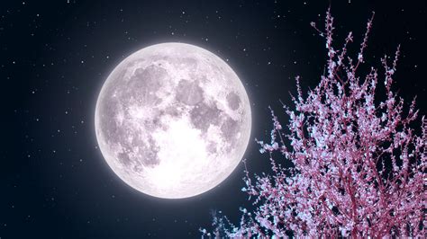 The Full Moon In April Will Be The Biggest And Brightest Supermoon