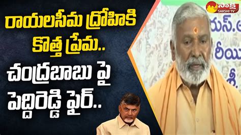 Minister Peddireddy Ramachandra Reddy Strong Counter To Chandrababu