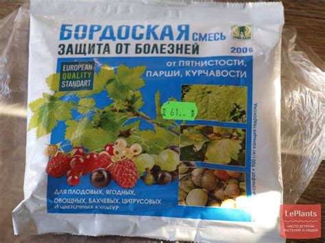 Бордоская смесь: инструкция по применению | Как развести бордоскую смесь