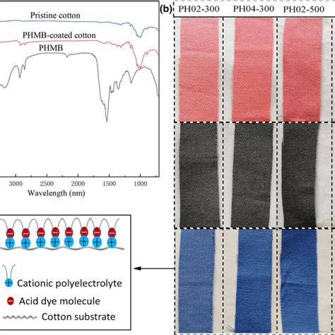 A FTIR Spectra Of Pristine Cotton Fabric PHMB And The Cotton Fabric