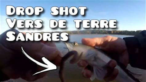 Peche Du Sandre Et De La Perche Au Drop Shot Vers De Terre Youtube