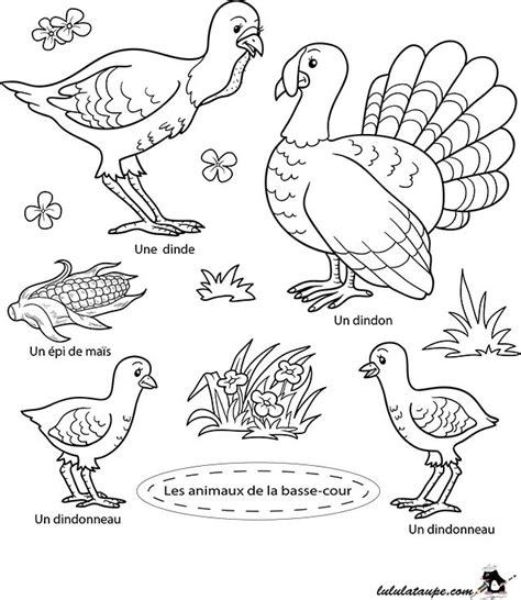 A Coloring Page With Different Types Of Birds