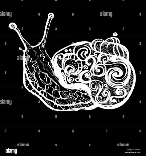 Hand Drawn Doodle Vector Outline Snail Illustration Decorated With