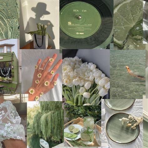 Sage Green Aesthetic Wall Collage Kit 15 30 45 Prints Etsy