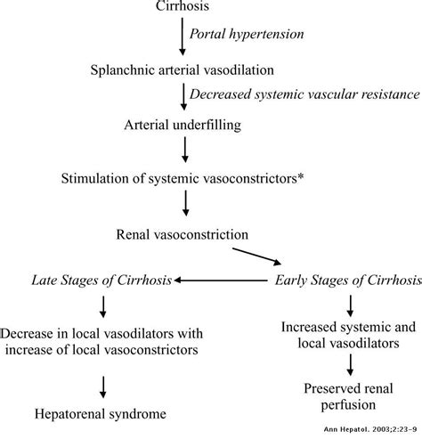 Hepatorenal Syndrome Annals Of Hepatology