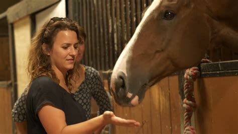 Equicoaching Le Coaching Par Le Cheval Celine Hypno Coach