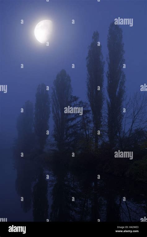 River Scenery Trees Moon Fog M Stock Photo Alamy