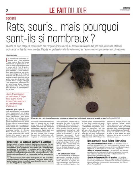 Rats Souris Mais Pourquoi Sont Ils Si Nombreux