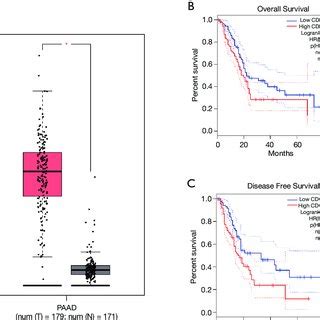 Kif Mrna Expression In Pancreatic Tumor Tissue And Normal Pancreatic