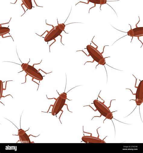 Disgusting Insect Stock Vector Images Alamy