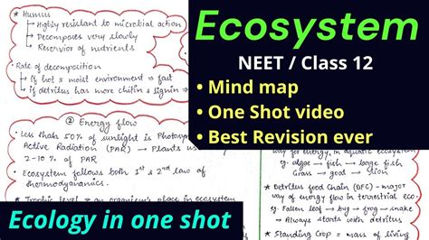 Ecosystem For Class 12 And NEET Mind Map Best Revision Video