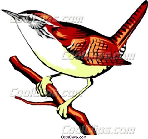 Carolina Wren Drawing | Free download on ClipArtMag