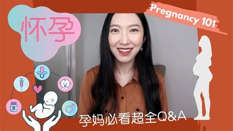 官宣？！关于怀孕的那些事儿 孕妈必看超全qanda Pregnancy 101 Youtube