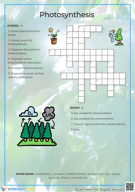 Grade 5 Photosynthesis Crossword Puzzle Worksheets 2024 Worksheets