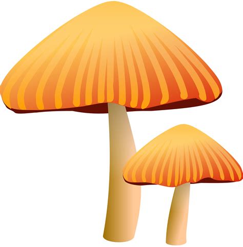 Free Mushroom Clipart Download Free Mushroom Clipart Png Images Free