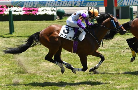 2019年 愛馬の記録 重賞＆記念勝利写真 一般社団法人中山馬主協会