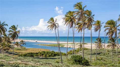 9 Praias Brasileiras Para Passar O Carnaval Conforto