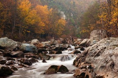 Sedimentary environments Flashcards | Quizlet